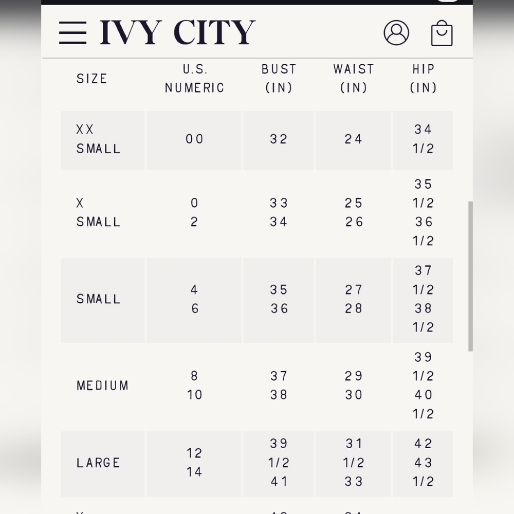 NWT Ivy City Co. Shimmer Dress - Picture 10 of 10